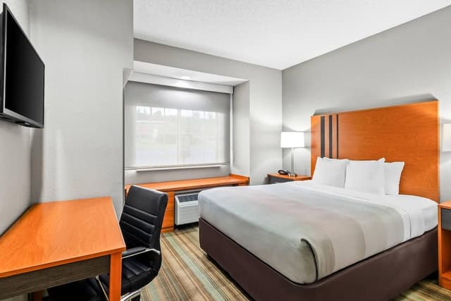 Room, 1 King Bed, Accessible, Non Smoking (Oversized Walk-In Shower)