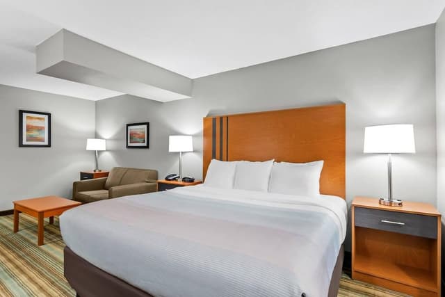 Standard Suite, 1 King Bed with Sofa bed, Non Smoking