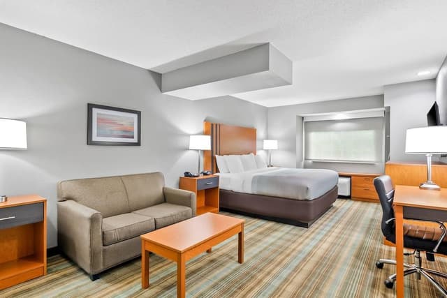 Standard Suite, 1 King Bed with Sofa bed, Non Smoking