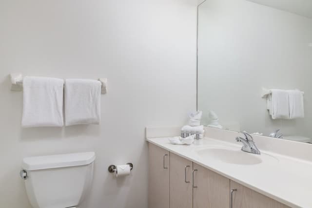 Standard One bedroom Suite with Balcony
