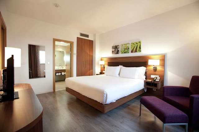 KING ONE BEDROOM SUITE