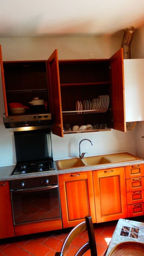Basic Apartment