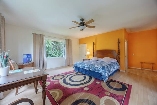 Room (Rainforest)