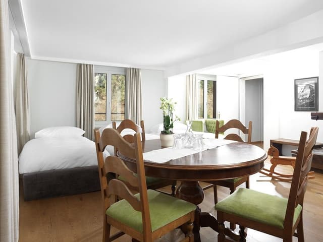 Suite without Balcony (Forest view, located at the rear of the Hotel)