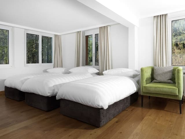 Suite without Balcony (Forest view, located at the rear of the Hotel)