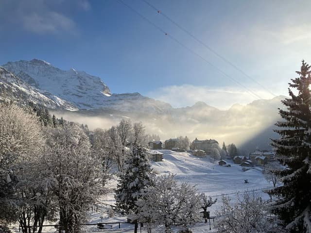 Double Room, Balcony, Mountain View (Jungfrau)