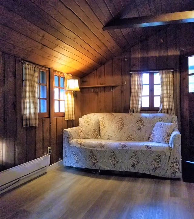 Cabin, 1 Bedroom, Mountain View