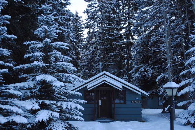 Basic Cabin (Standard Studio Cabin)