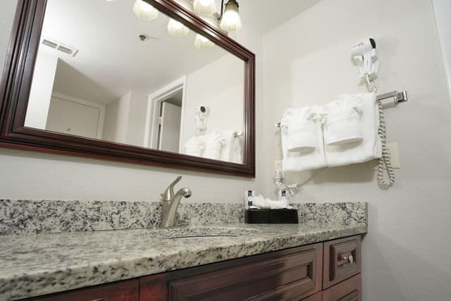 Deluxe Condo, 1 Bedroom