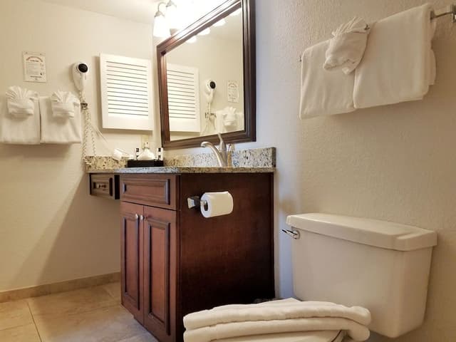 Deluxe Condo, 2 Bedrooms, Non Smoking