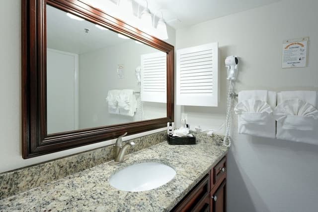 Premium Suite, 1 Bedroom