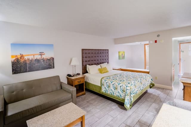 King Jacuzzi Deluxe Suite