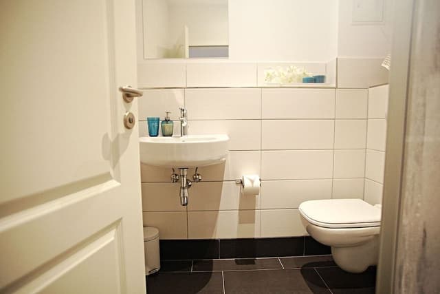 Deluxe Apartment, Kitchenette