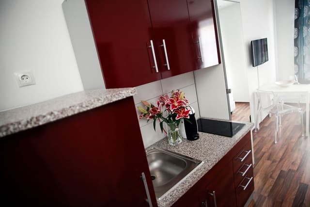 Deluxe Apartment, Kitchenette