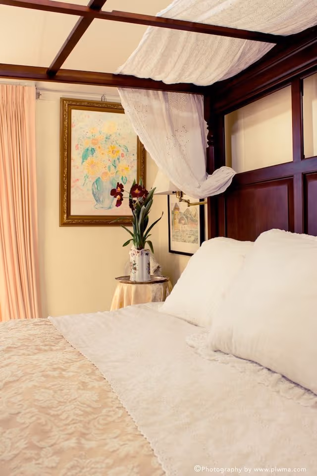 Room, 1 King Bed
