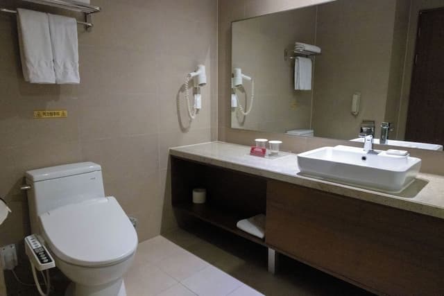 [Bath Bomb PKG] Deluxe Double Room - Bathtub