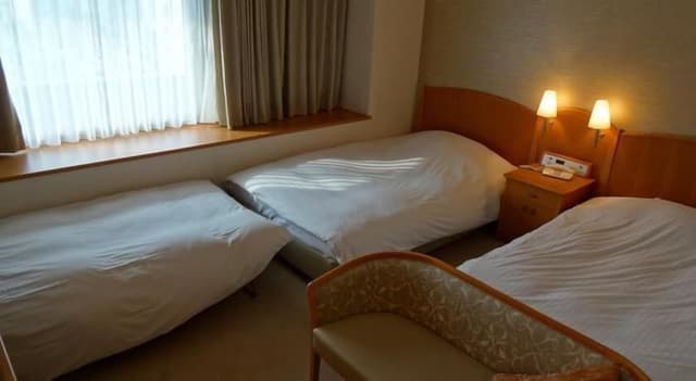 Triple Room, Non Smoking (2 beds with 1 extra bed)