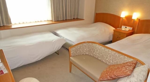 Triple Room, Non Smoking (2 beds with 1 extra bed)