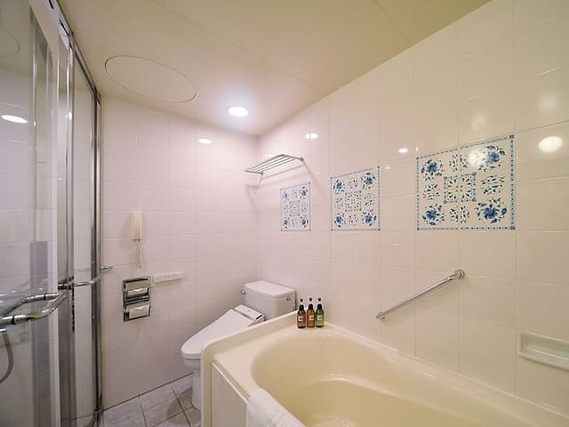 Deluxe Single Room, Non Smoking (Single Use)