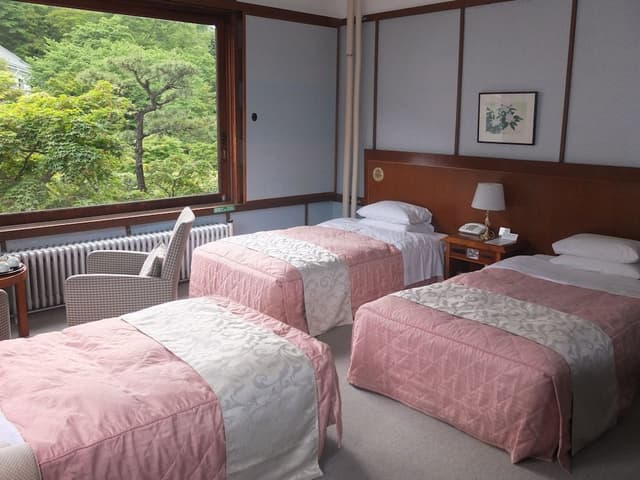 Deluxe Twin Room, Non Smoking