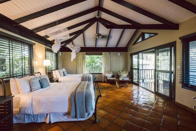 Double Queen Jungle Suite