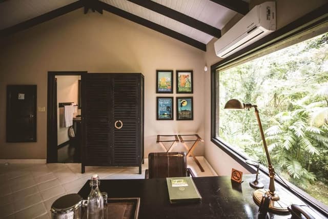 Double Queen Jungle Suite