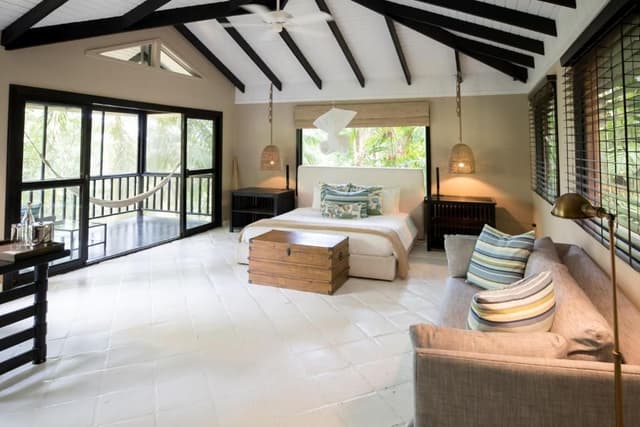 King Jungle Suite