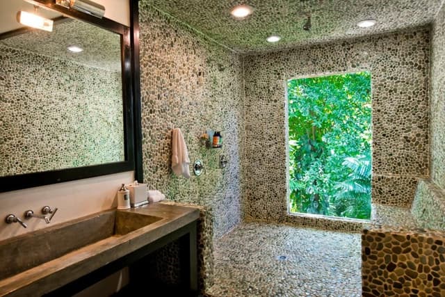 King Jungle Suite