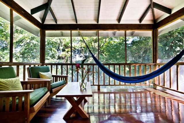 King Jungle Suite
