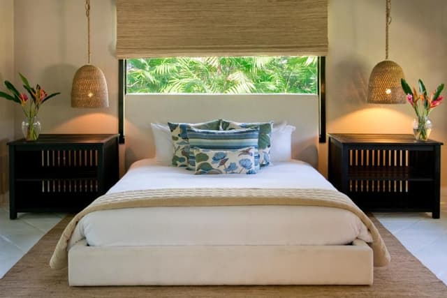King Jungle Suite