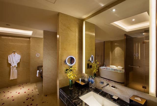 TWIN EXECUTIVE RIVER VIEW AND LOUNGE ACCESS