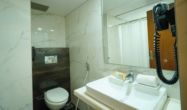 Deluxe Double or Twin Room