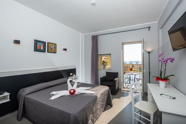 Double Room Single Use