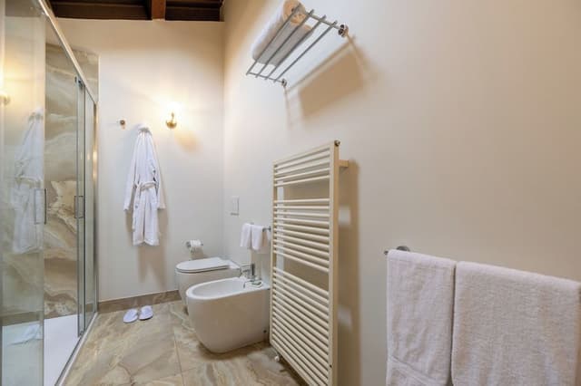 Deluxe Room (Palazzo Viviani)