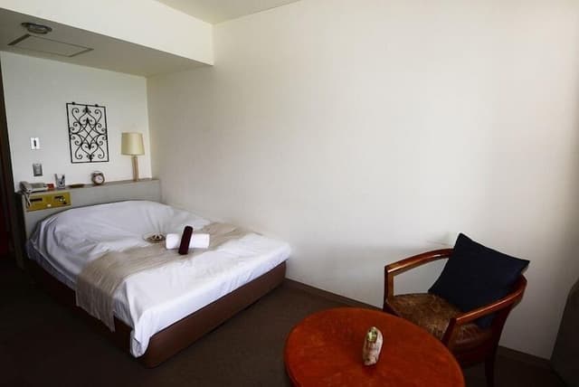 Semi Double Room, Non Smoking