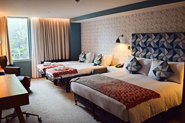 Family Room, Multiple Beds