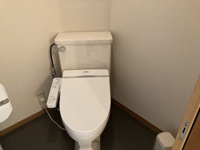 Deluxe Room, Annex Building (Non Smoking)