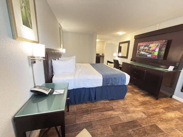 Standard Room, 1 King Bed, Non Smoking