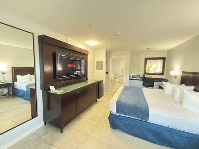 Standard Room, 1 King Bed, Non Smoking