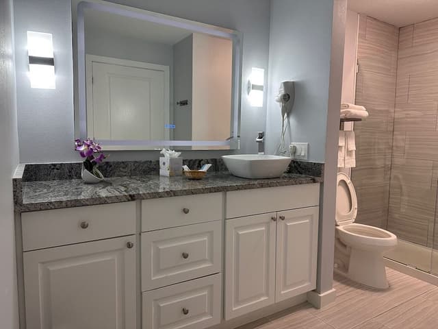 Deluxe Room, 1 King Bed with Sofa bed, Non Smoking, Refrigerator & Microwave (Walk-In Shower)