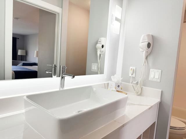 Deluxe Room, 1 King Bed with Sofa bed, Non Smoking, Refrigerator & Microwave (Bathtub)