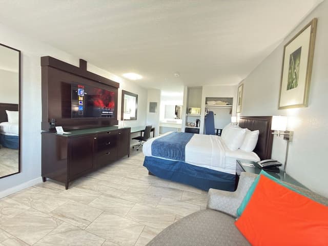 Deluxe Room, 1 King Bed with Sofa bed, Non Smoking, Refrigerator & Microwave (Bathtub)