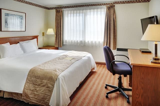 Traditional Single Room, 1 King Bed