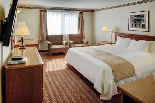 Traditional Single Room, 1 King Bed