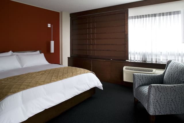 Deluxe Room, 1 King Bed