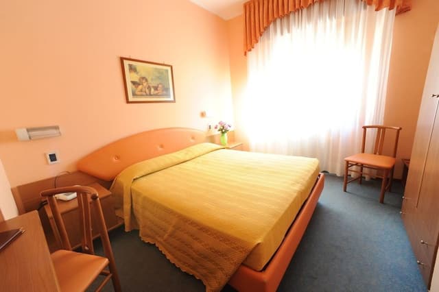 Standard Double or Twin Room, Mountain View