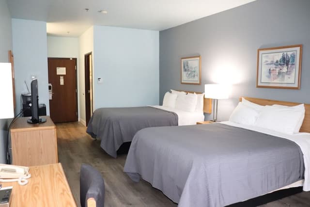 Standard Room, 2 Queen Beds (Pets Allowed)