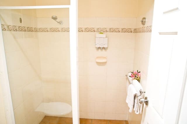Standard Room, 1 Queen Bed, Non Smoking, Kitchenette (Choice Queen & Single)