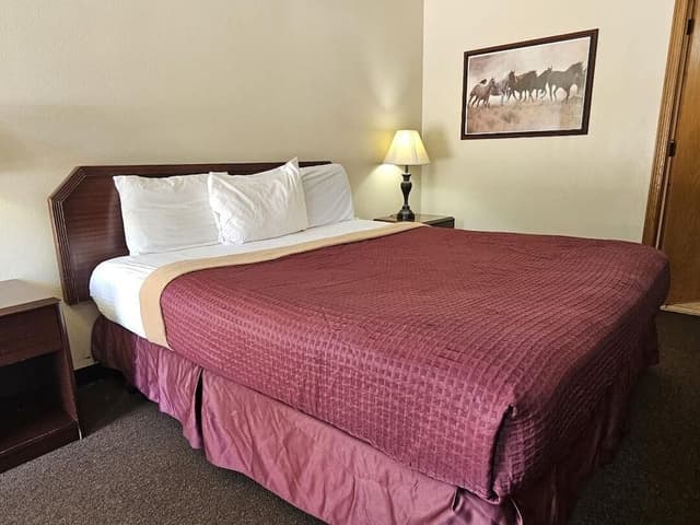 Room, 1 King Bed