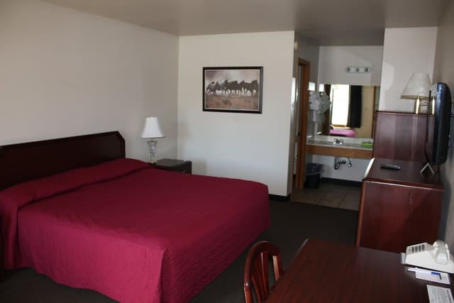 Room, 1 King Bed